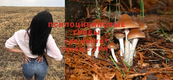стафф Абинск