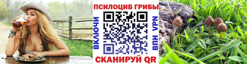 Галлюциногенные грибы мицелий  Юрга 