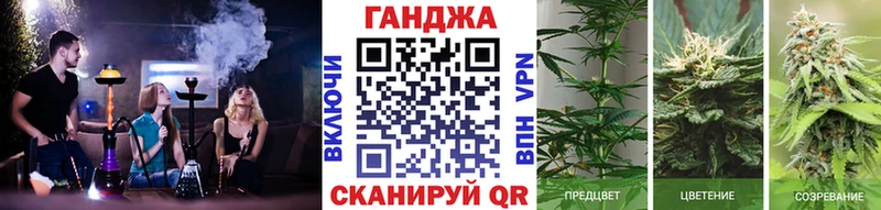 Канабис конопля Юрга